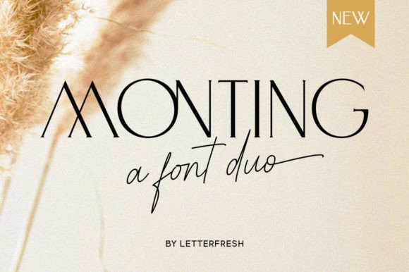 Monting Duo: Where Modern Sans Meets Signature Serif